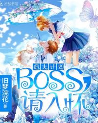 追夫计划：boss，请入怀